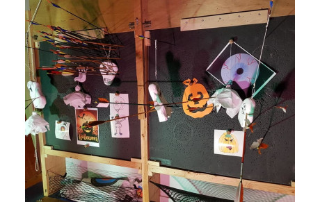 Enquêtes animations dans les clubs