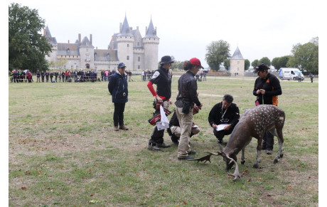 Championnat de France 3D par Équipes de club - Sully sur Loire - 28 et 29 Octobre 20195 Aout 2019
