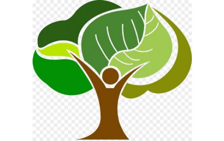 Un article intéressant pour l'avenir du sport