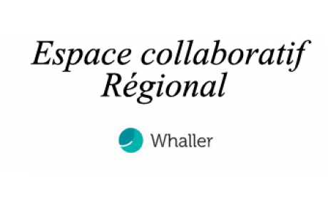 Nouvelle sphère sur Whaller &quot;Matériel : Achats, Ventes&quot;