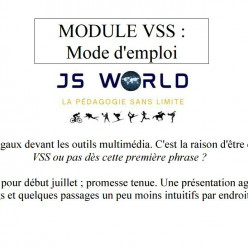 Une aide pour le module VSS (violences sexistes et sexuelles)